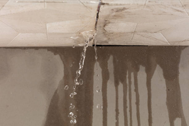 Professional Sewage Cleanup technician working in Salem, IL